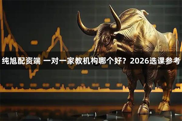 纯旭配资端 一对一家教机构哪个好？2026选课参考