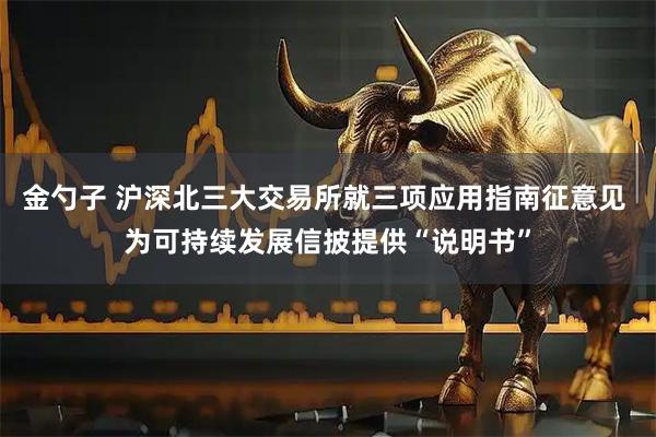金勺子 沪深北三大交易所就三项应用指南征意见 为可持续发展信披提供“说明书”